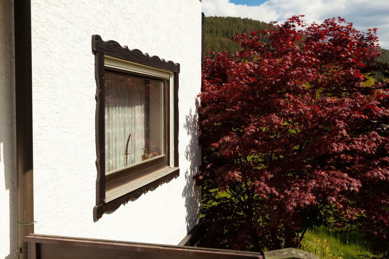 Hotel Petra Baiersbronn Zewnętrze zdjęcie